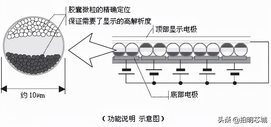 “泡面盖”身后的垄断小巨头,电子墨水屏你怎么看?