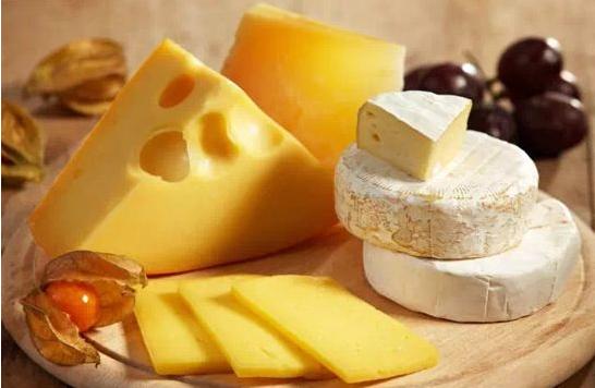 怎么挑选优良的狗粮品牌,狗粮怎么区分品牌