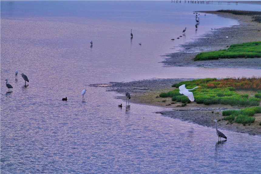 河北最宜居的城市有哪几个,河北最宜居的城市是哪个