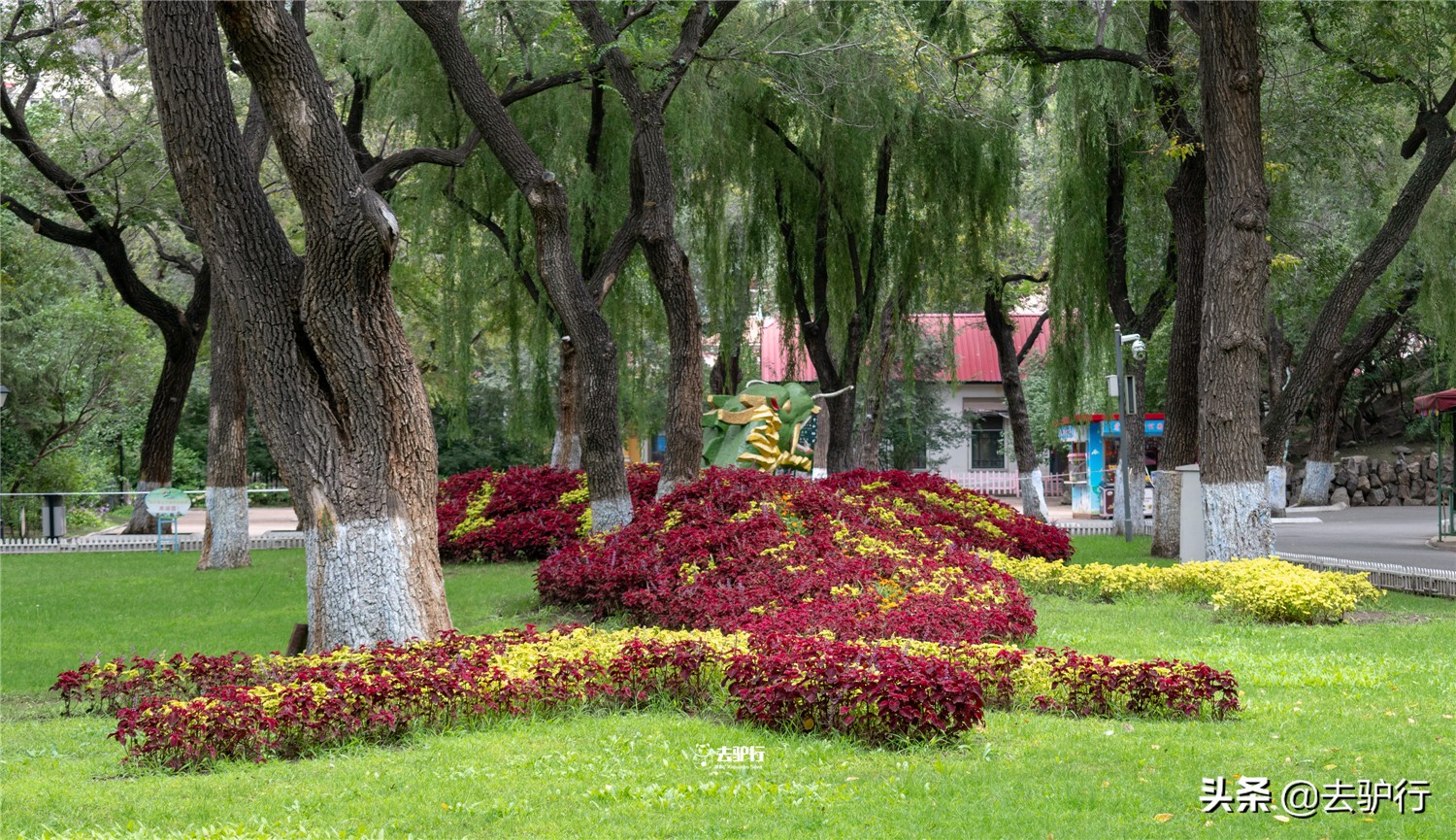 背负东北希望的哈尔滨，不紧不慢，二线城市也挺好