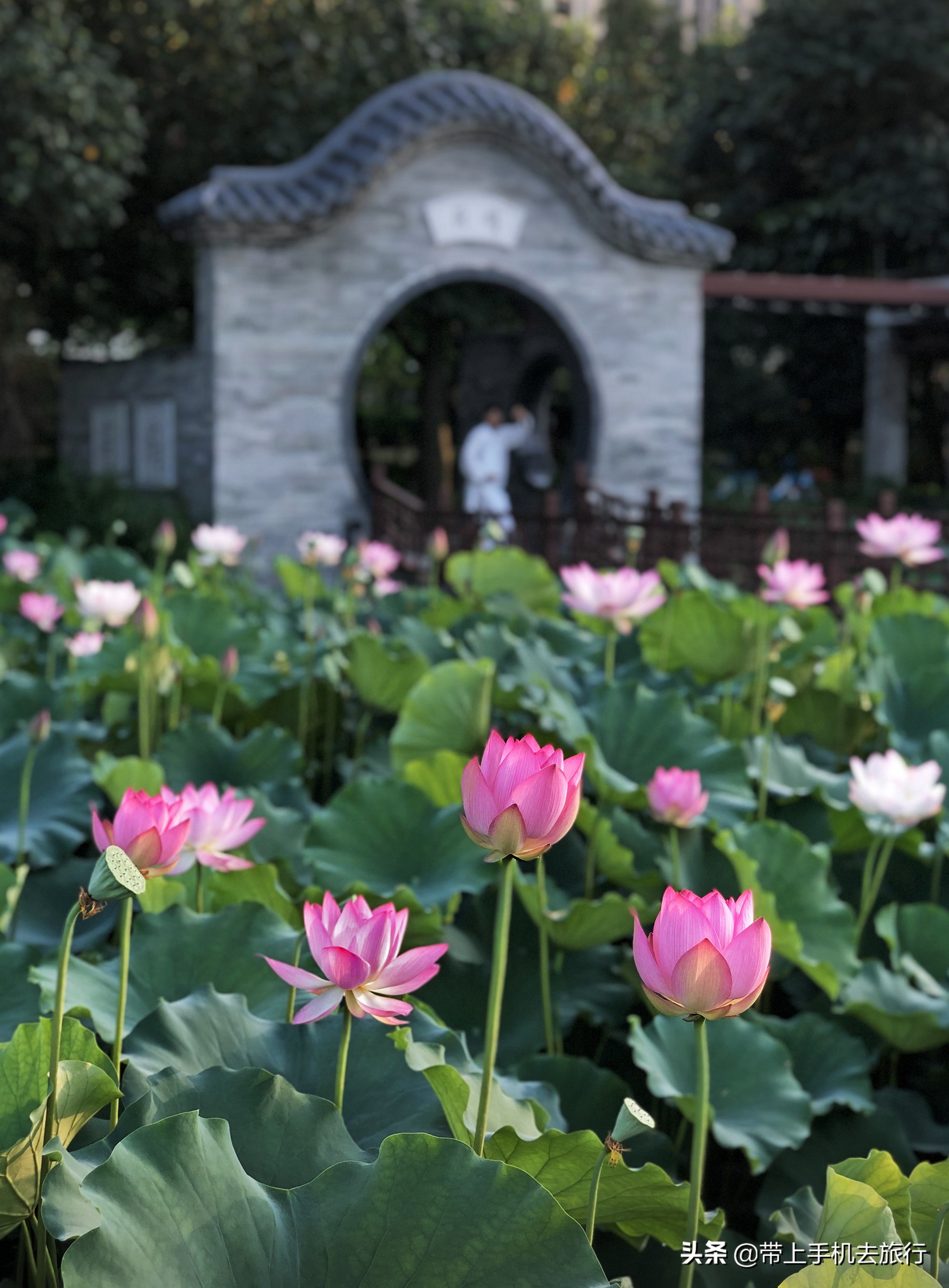 手机拍照是竖的好还是横的好,手机拍照横着和竖着的比例