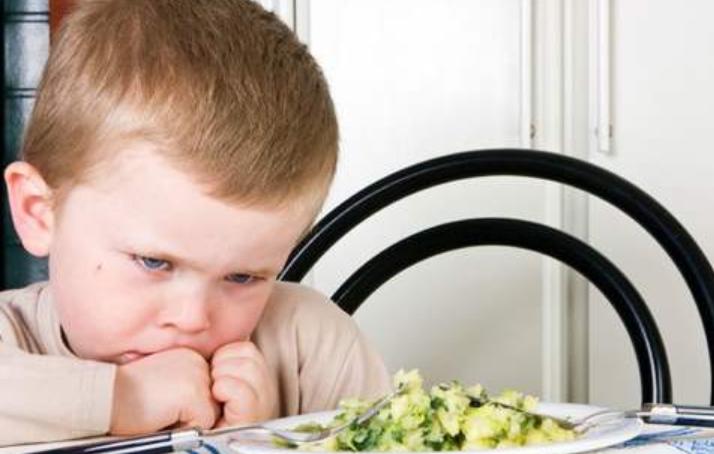 只吃肉不吃素的孩子,只吃肉不吃饭的宝宝