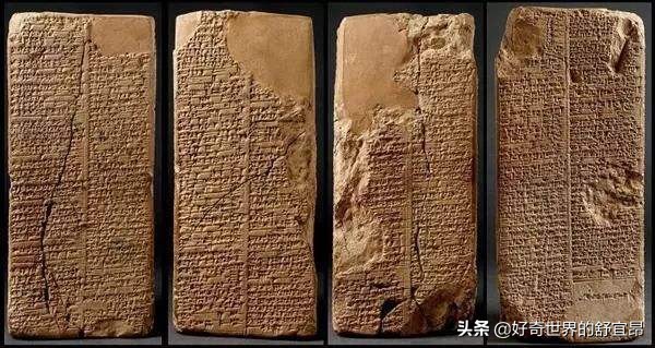 什么证据可以质疑进化论,人类起源进化论