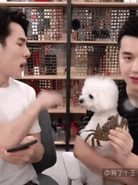 李佳琦，你把我们都骗了