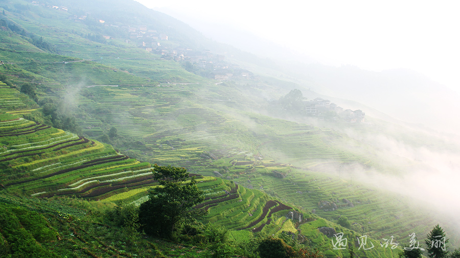 龙脊梯田风景区被破坏过吗,桂林龙脊梯田最全攻略