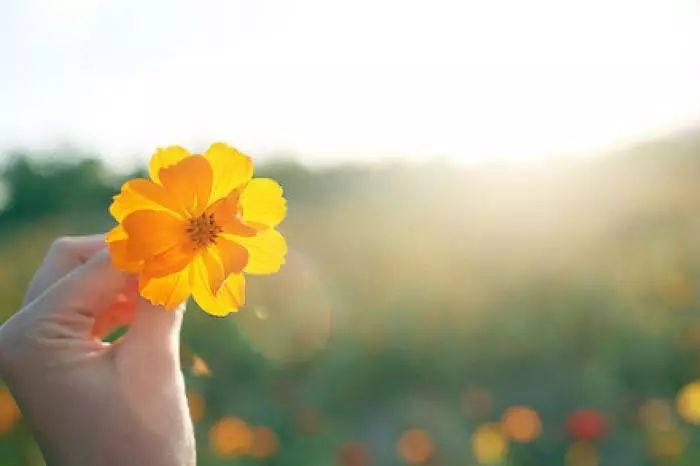 从a到z的26个字母,从a到z这26字母中你想选哪个