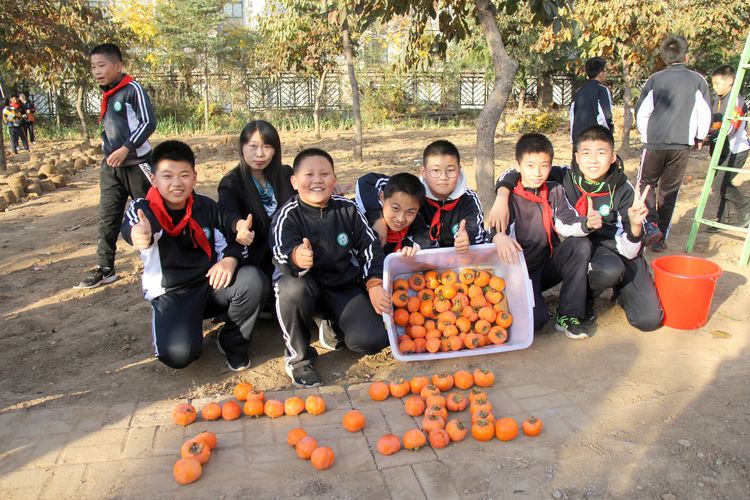 昌乐齐都实验学校：举行第四届“柿子熟了”采摘节活动