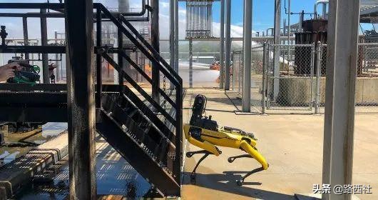 养狗嘛？53万、世界首富同款