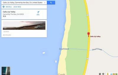 马蹄莲要醒花吗,马蹄莲一年开一次花