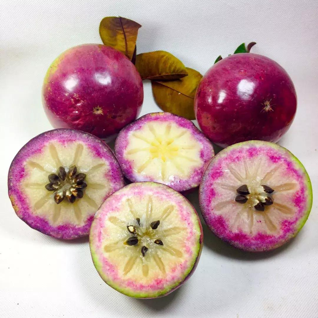 他的工作是厨师的英文,他的工作是什么英文句子