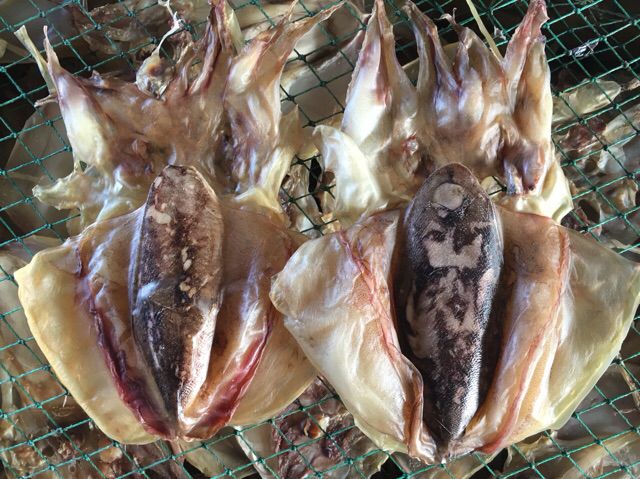 暴利养殖业50元一斤,什么养殖一斤100元都还不愁销路