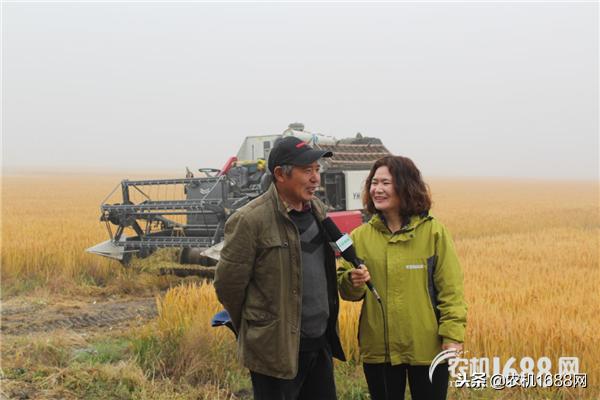 洋马收割机怎么跨省作业,洋马跨区联合收割机