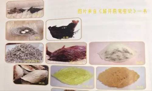 真假燕窝的快速鉴别方法,燕窝造假现场