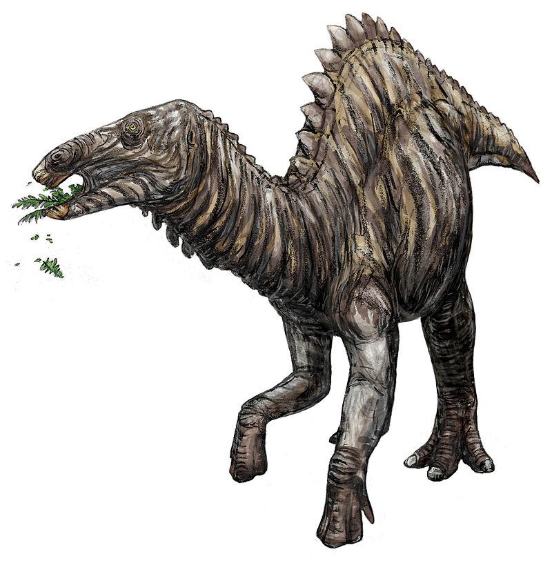 中国最著名的恐龙是什么恐龙,恐龙为名