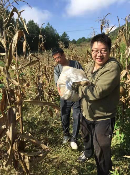 重庆奉节三国故事,奉节的故事