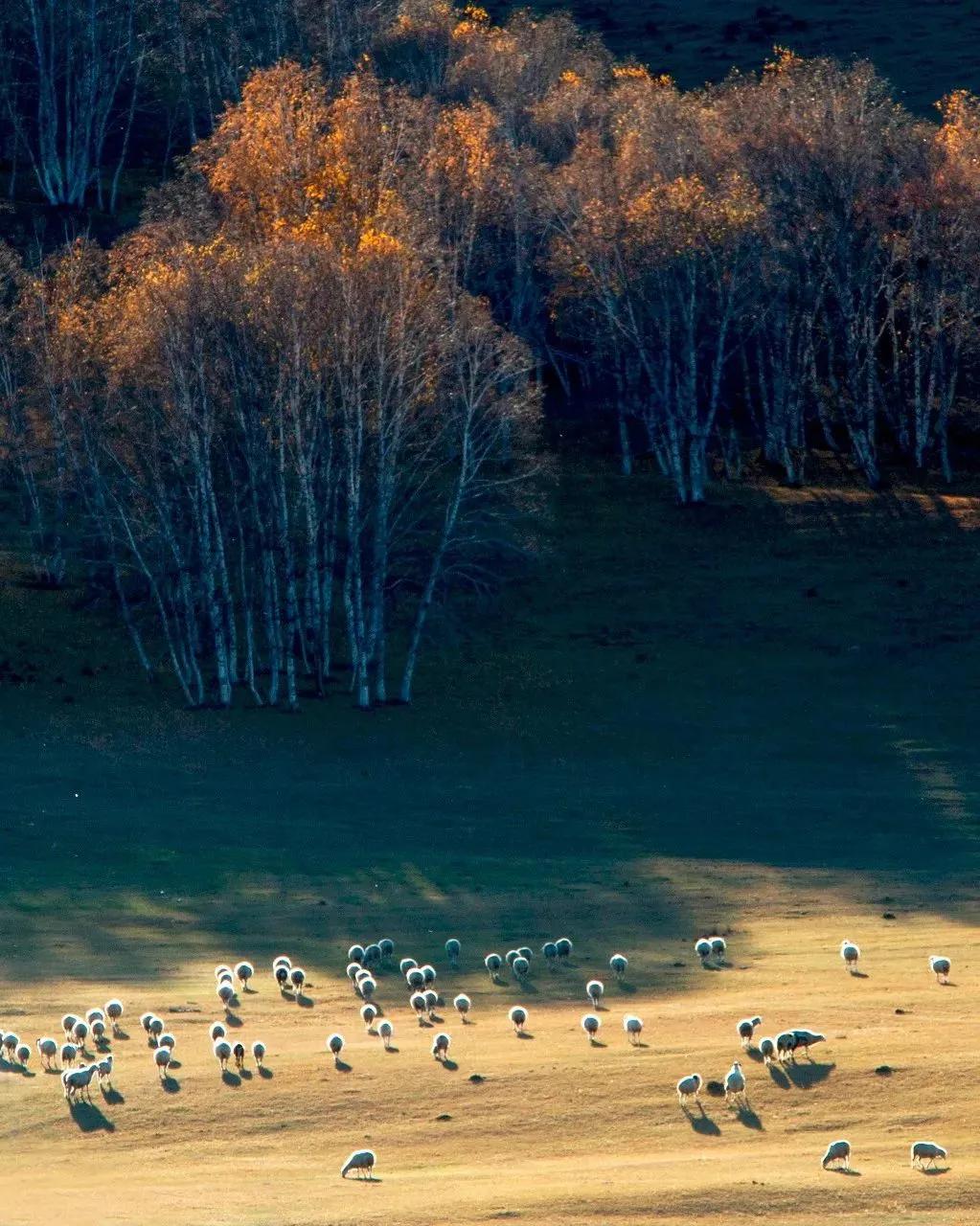14浜夸汉鍏虫敞鍞愬北,鍗佸洓浜垮浗浜哄叧蹇冪殑闂