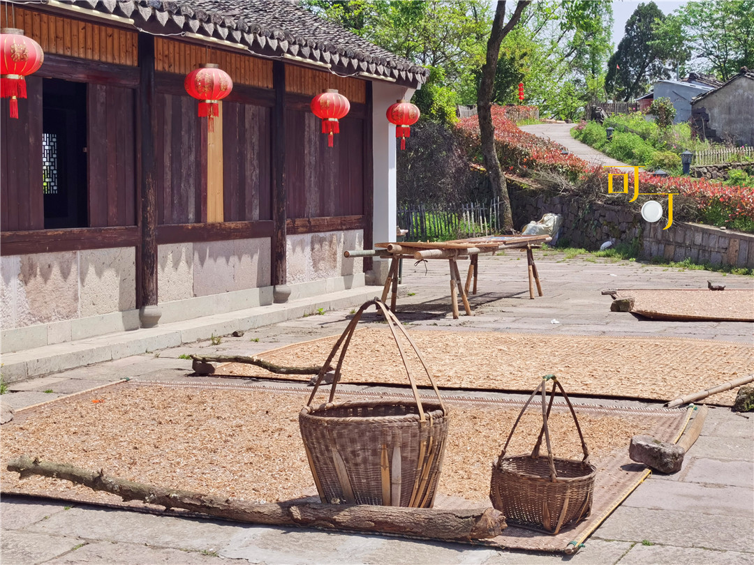 余姚四明山农家乐跟团游有吗,余姚市四明山高山布依农家乐