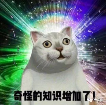 大喵咖今天来聊一聊：淘宝，天猫，到底我能开几家店