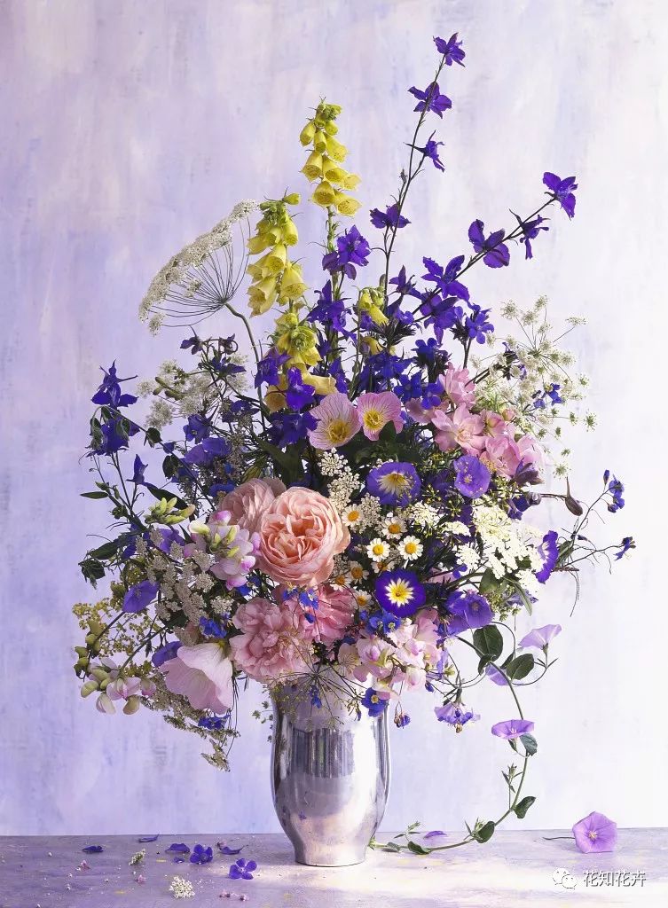 薰衣草真假精油的鉴别方法,熏衣草干花真假辨别