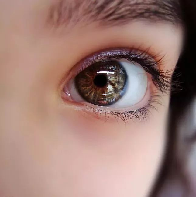 动漫人物眼睛该怎么画新手入门,怎么画动漫人物的眼睛新手教程