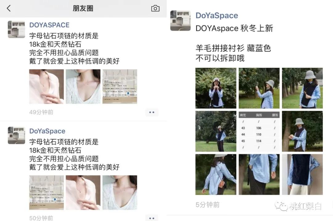 章泽天与董花花关系,章泽天和董花花什么关系