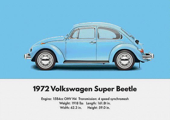 甲壳虫:让我再看你一眼,但!你一定会回来