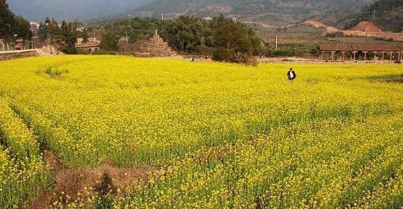 2022年两个立春节气分别是哪天,2020年两个立春