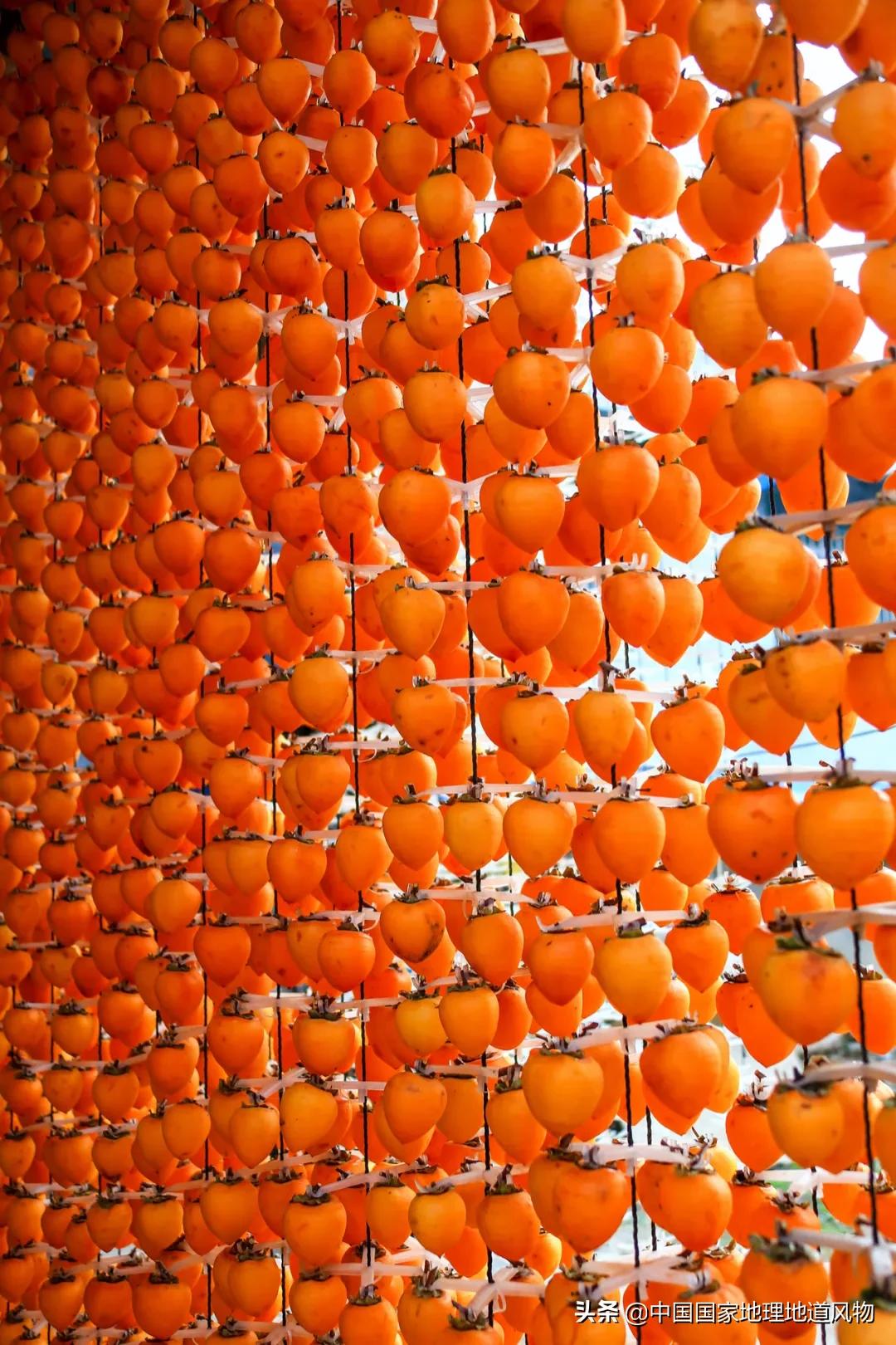 陕西水果第一大省有什么水果,陕西盛产水果吗