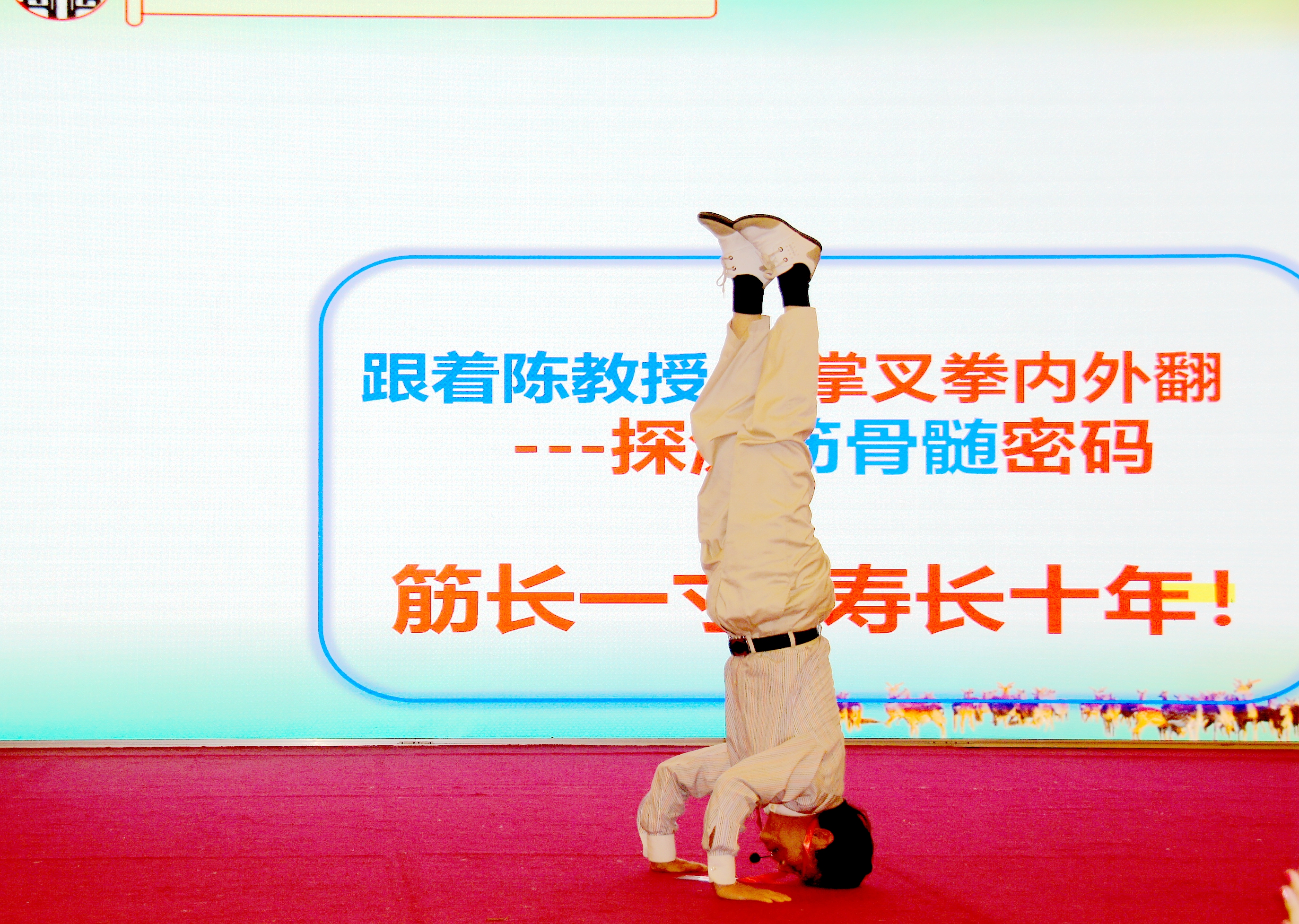 中国优秀传统文化论坛视频高清,中国传统文化高峰论坛讲座