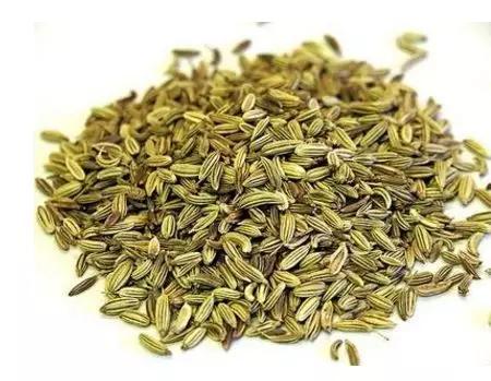 香料植物与成品解析,香料植物有哪几种