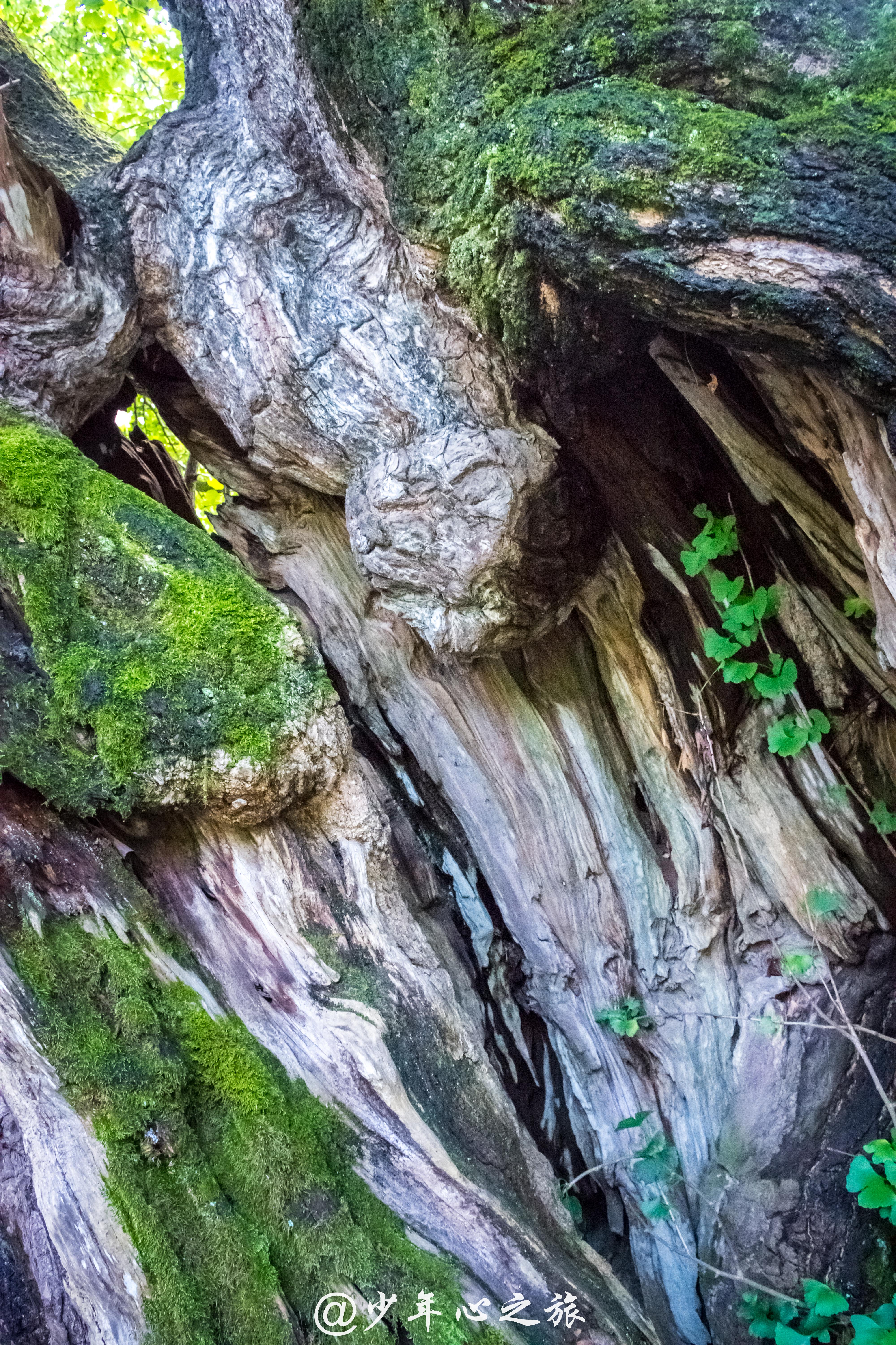 千年古村落唐模村,千年古村唐模