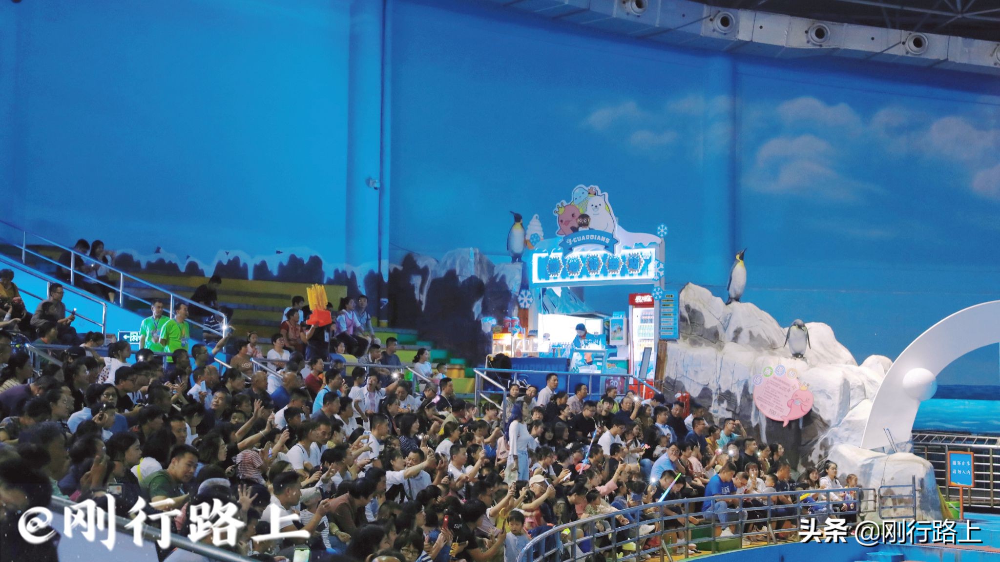 青岛海昌极地海洋世界深海探险,青岛海昌极地海洋世界景点视频