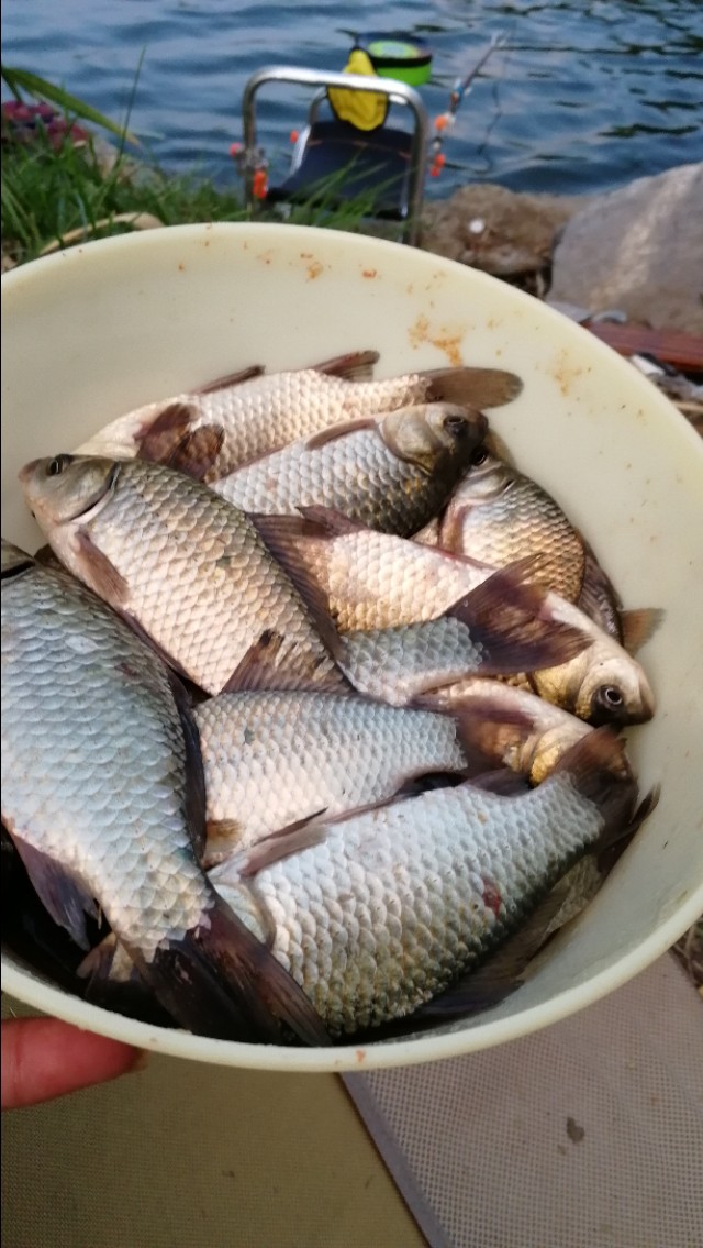 钓鱼装备全套整理渔具选择,在渔具店买钓鱼的装备