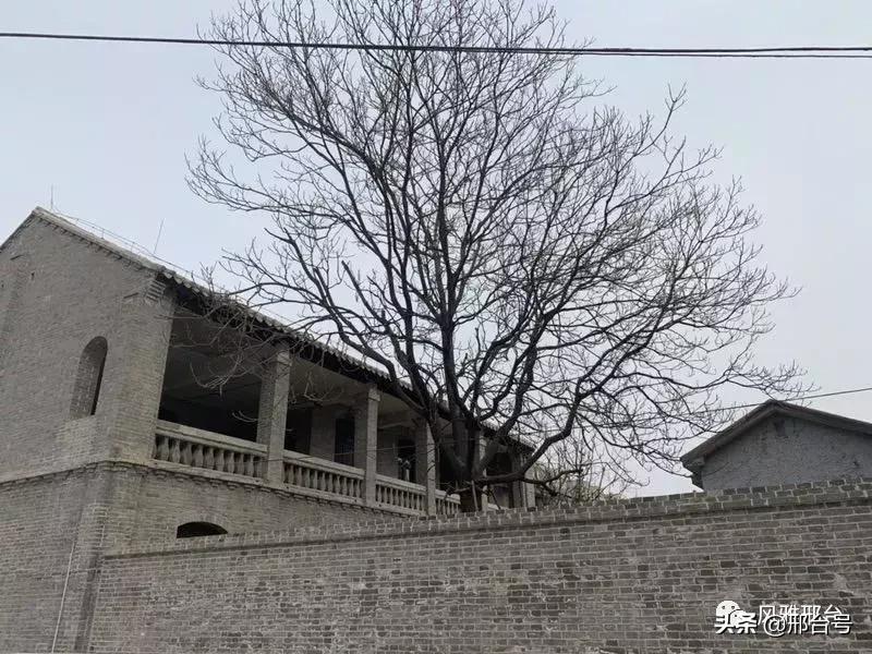 邢台眼科医院的强项,邢台眼科医院网上挂号