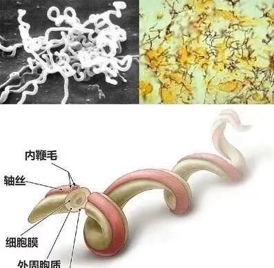 当当网李国庆事件影响,当当创始人李国庆摔杯子