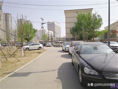 昔日垃圾场变身高颜值花海,昔日脏乱差改造成大型公园