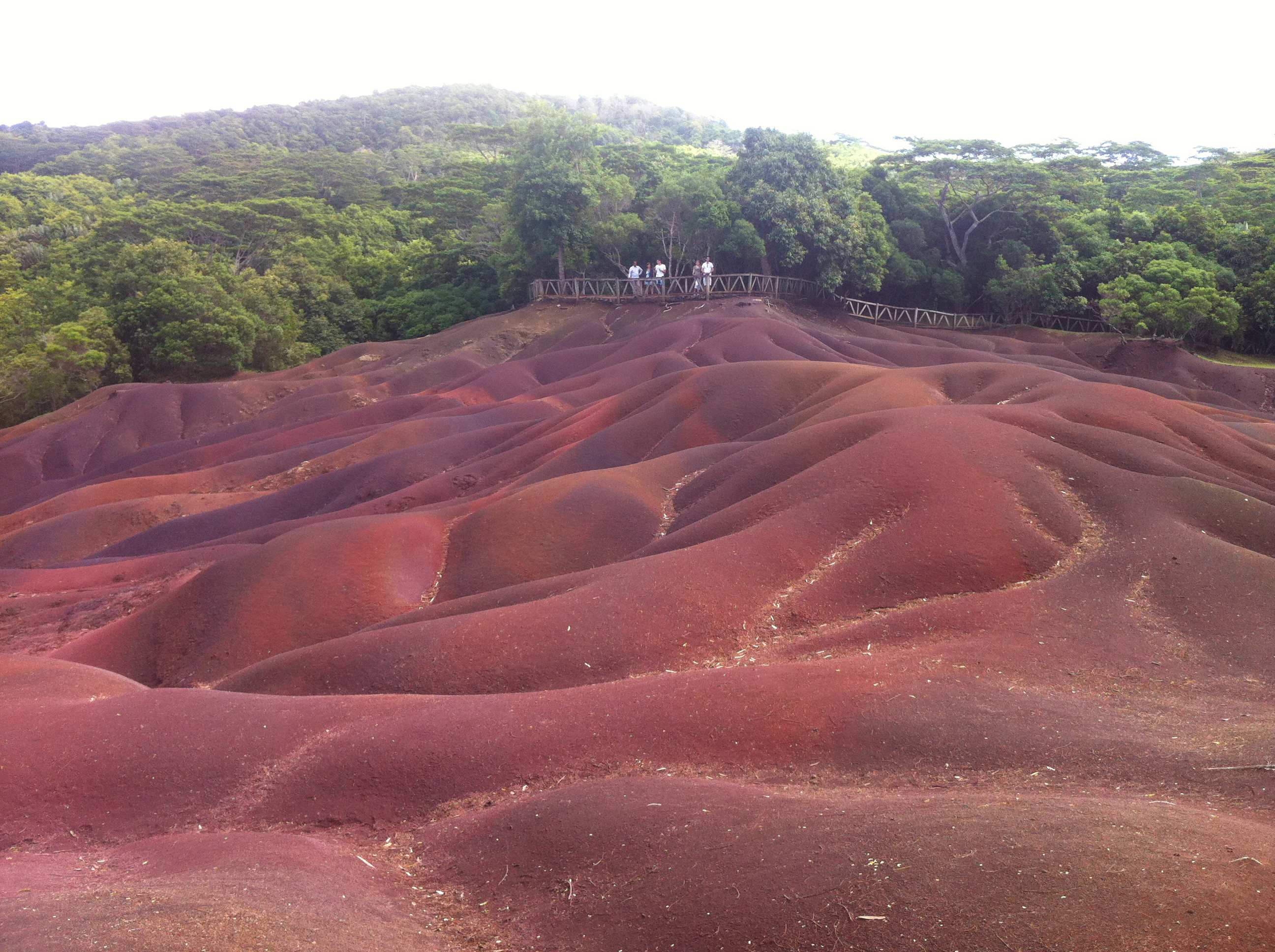 毛里求斯旅游攻略自由行,毛里求斯自由行攻略