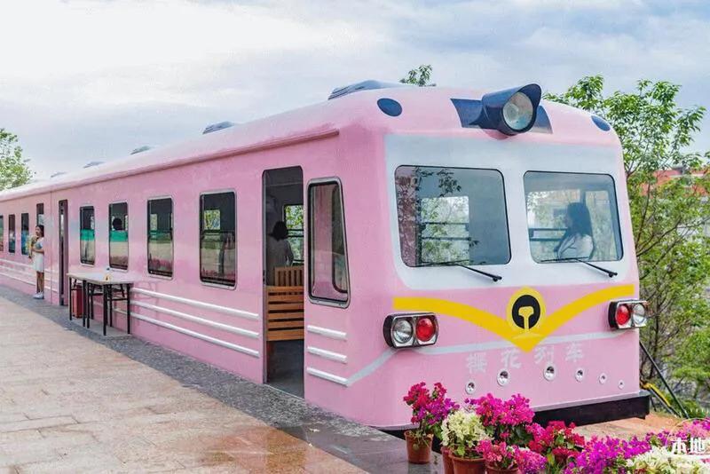 深圳花海公园地址在哪里,深圳中心河公园花海