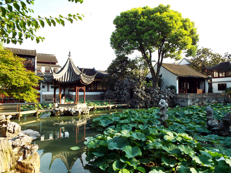 苏州古典园林中的狮子林,在苏州有哪些值得去的景点