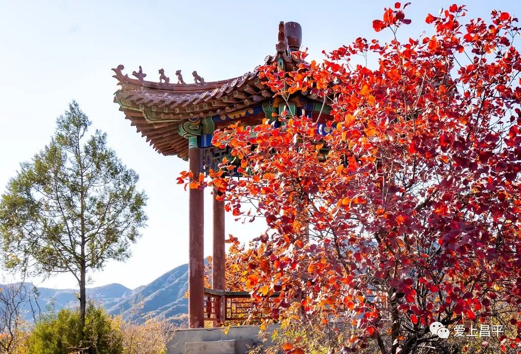 昌平区适合一日游玩踏青的地方,4月中旬昌平区最值得去的景点