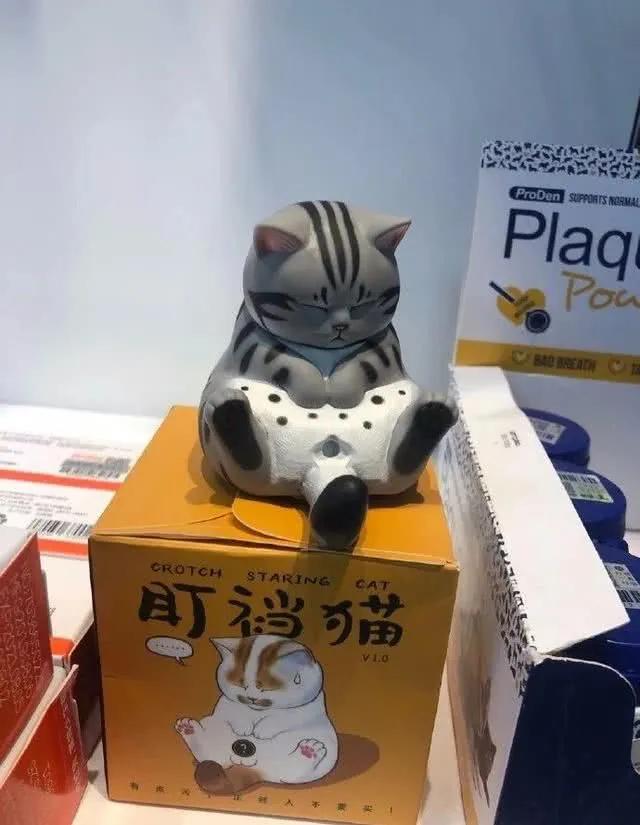 春天来了，家里的动物开始了兴奋，被困在家中的你该如何帮助它呢