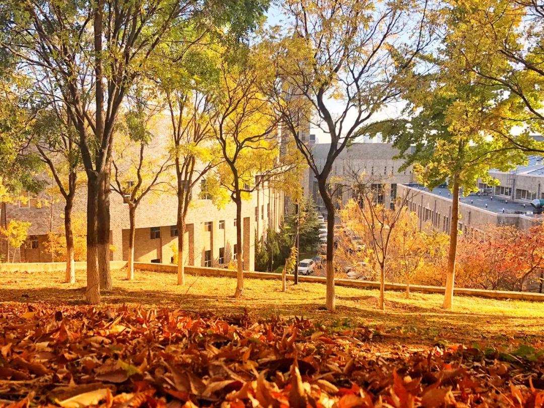 辽宁大连民办大学,大连辽宁二本大学