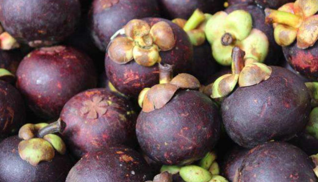 如何挑好的山竹不白吃,山竹挑选小技巧学会了个个都新鲜