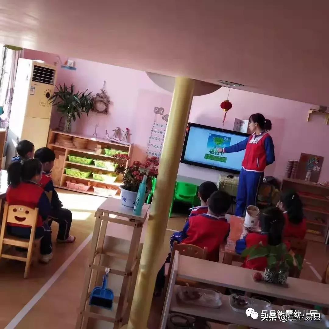 金山银山不如绿水青山植树活动,幼儿园绿水青山就是金山银山