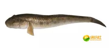 舟山4月份海鲜攻略,舟山海鲜代加工攻略