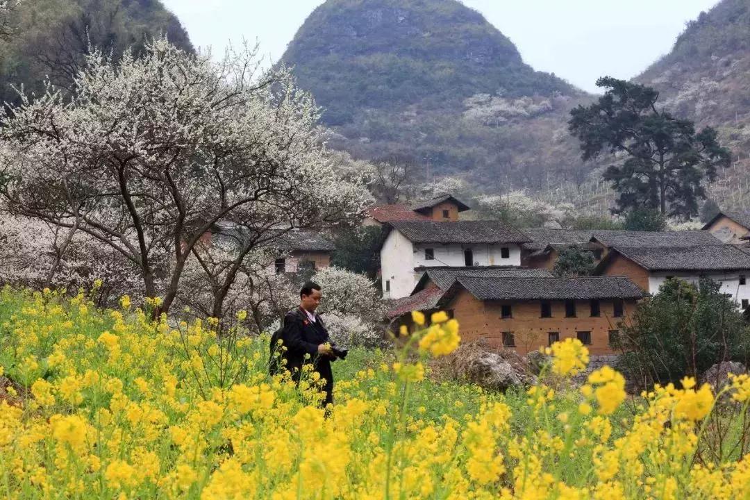 广西有座小城,广西的一座小县城