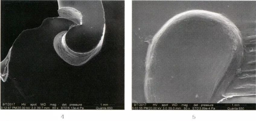 江苏徐州狮子山楚王墓陶俑,狮子山楚王大墓玉器