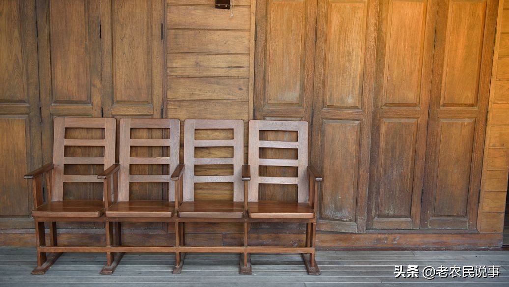 农村适合当柴烧的树,农村柴灶烧木头