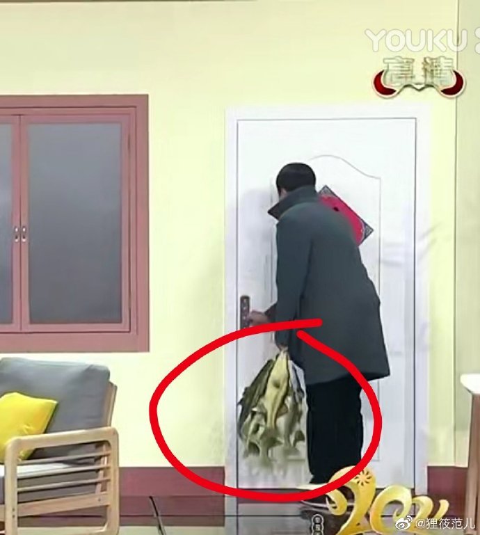 贾玲历年春晚回顾,贾玲春晚表情包动图