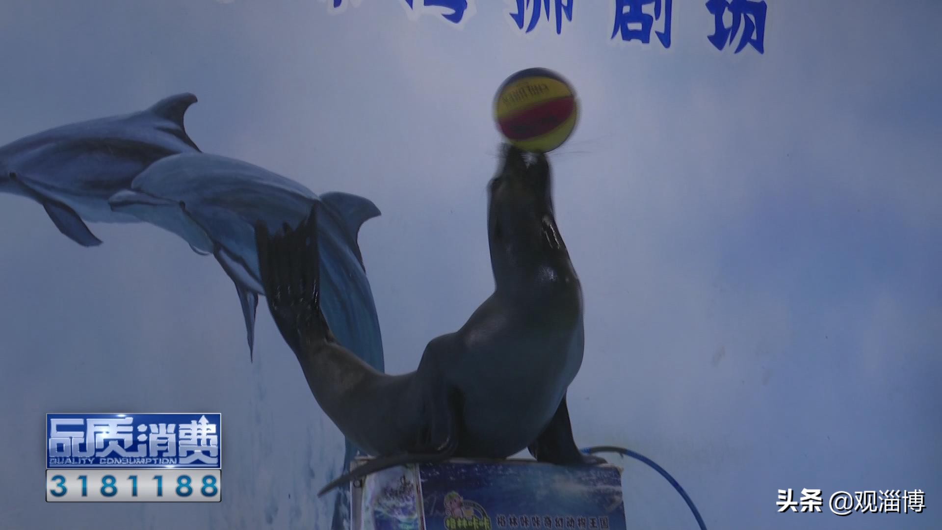 淄博动物乐园,淄博有动物的地方